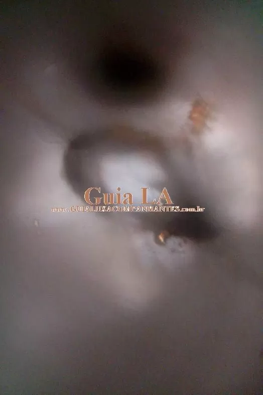 Gatinha Sapeca