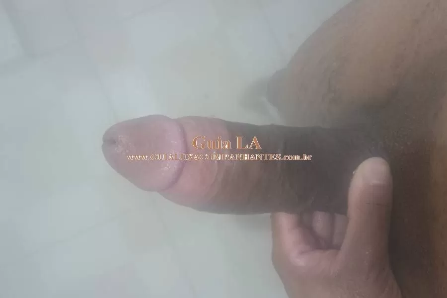 Gato Preto gato preto 11941896578